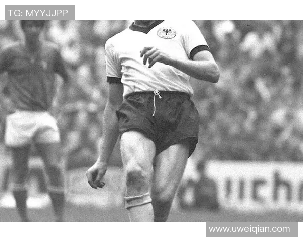 从贫困到辉煌 足球巨星们的奋斗与梦想 从贫困到辉煌 足球巨星们的奋斗与梦想