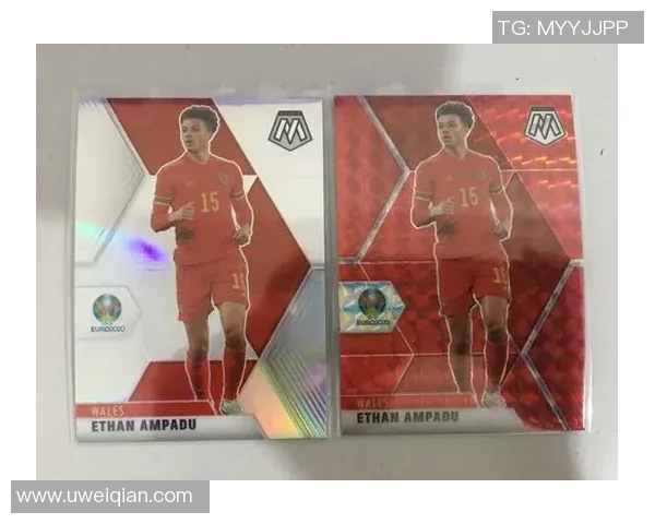 帕尼尼足球星卡是否包含球员签名及其收藏价值分析 帕尼尼足球星卡是否包含球员签名及其收藏价值分析